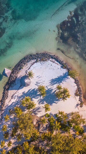beach-with-palms-tree_151633-114
