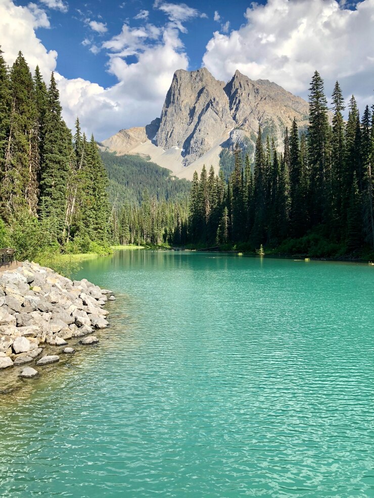 beautiful-scenery-emerald-lake-yoho-national-park-british-columbia-canada_181624-6877