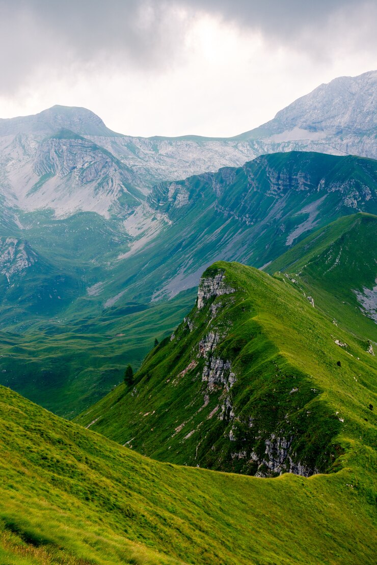 beautiful-vertical-shot-long-mountain-peak-covered-green-grass-perfect-wallpaper_181624-4986