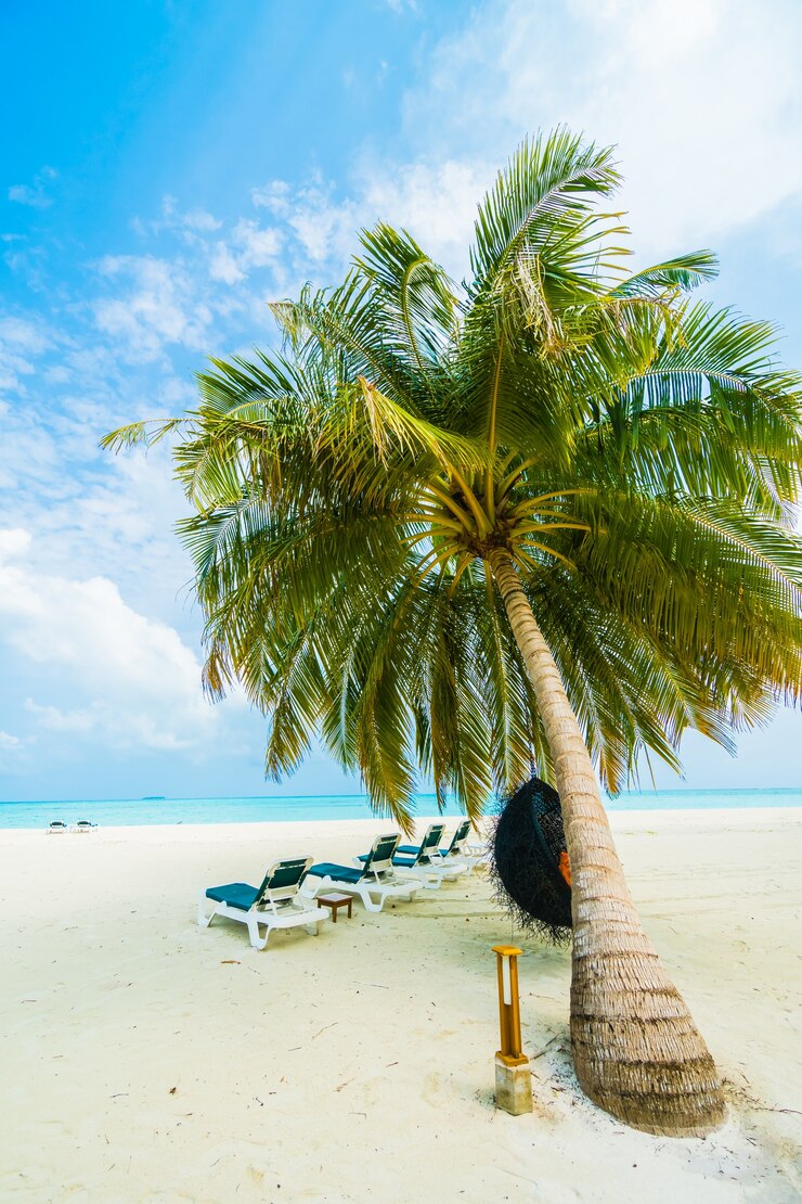 maldives-island_1203-7356
