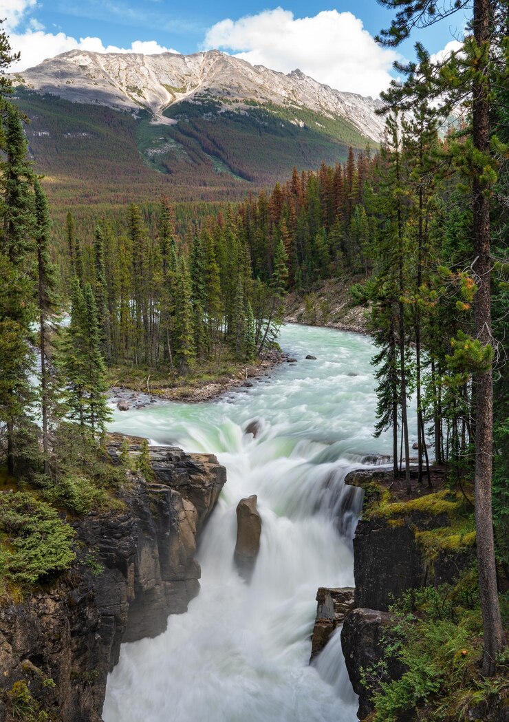 scenic-view-waterfall-forest_1048944-23678414
